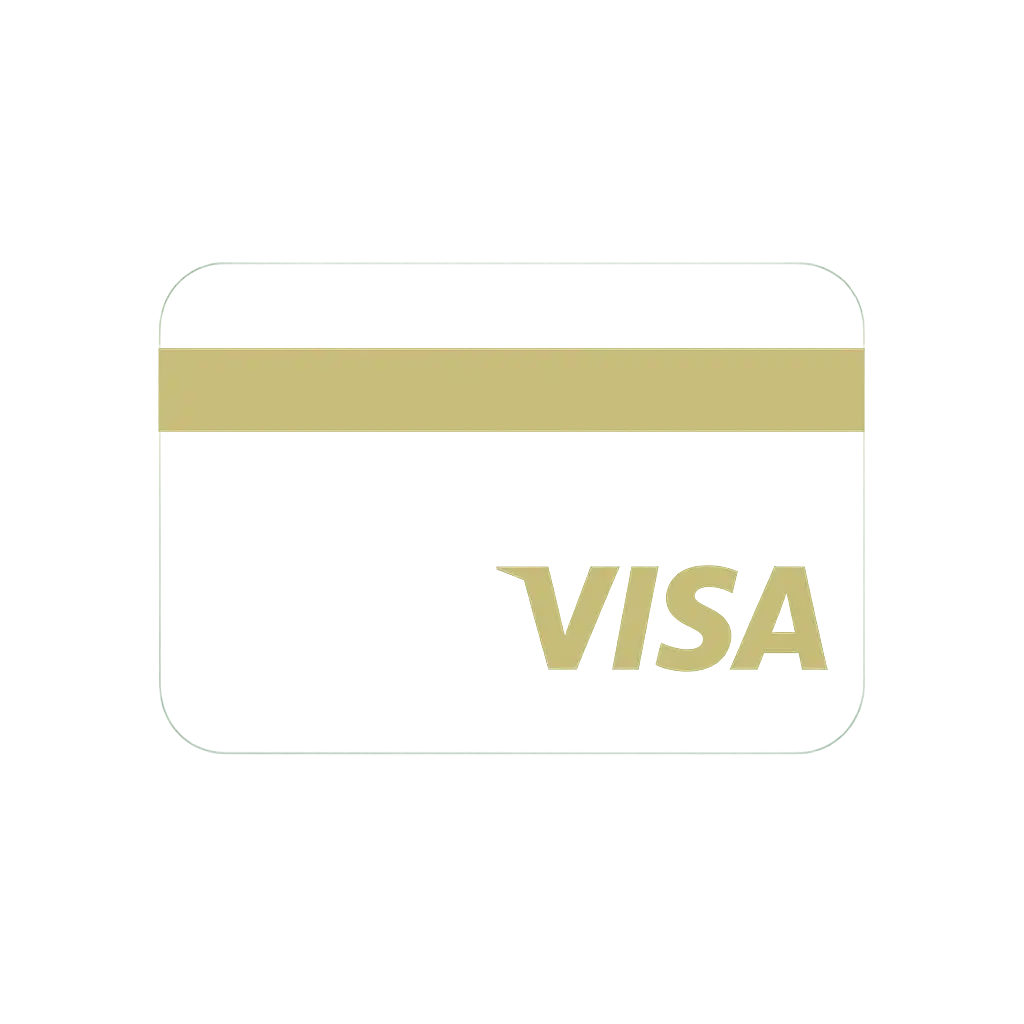 Visa icon